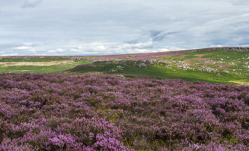 Burbage Rocks Burbage Rocks